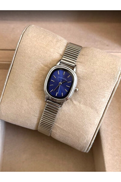 Choppers Stylish Vip Model Navy Blue Oval Dial Women's Watch with Silver Color Plated Steel Band |   Vintage Elegance