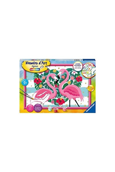 RAVENSBURGER Beginner painting kit, paint by numbers, Flamingo theme, 33.5x23.1 x3.7cm, 7+ years