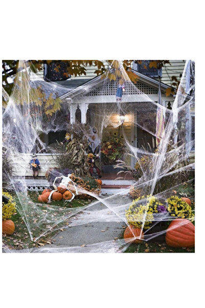 OEM Set 61 piese, panza si 60 de paianjeni decor pentru Halloween, plastic, alb, negru