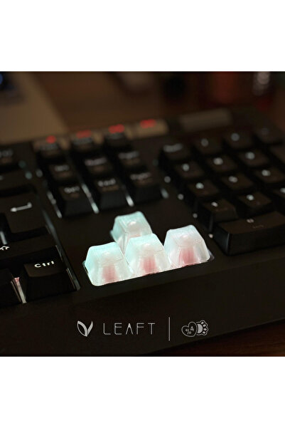 Genel Markalar 9'lu Şeffaf (Clear) Keycap Seti - Sökme Aparatı Hediyeli Klavye Tuşları