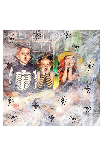 OEM Set 61 piese, panza si 60 de paianjeni decor pentru Halloween, plastic, alb, negru