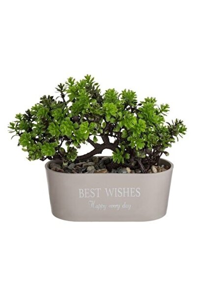 ANTBRO Taupe Bonsai Pot 15×7×17 cm – Ceramic Vase with Artificial Bonsai & 'Best Wishes'