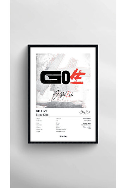 Thetic Stray Kids - GO LIVE Albüm Koleksiyonu PREMIUM Spotify Poster!