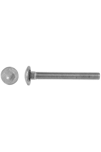 Evotools Zinc Plated Torbant Screw DIN 603 - 100 Pcs M6 mm 25