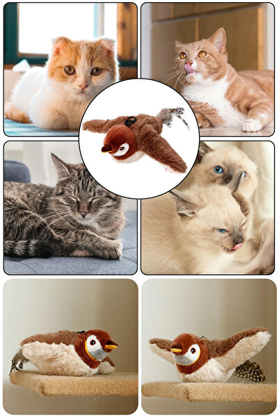TechnoStation Şarjlı Peluş Uçan Kuş Oyuncak Hareketli Kanat Çırpan Kedi Oyunc...