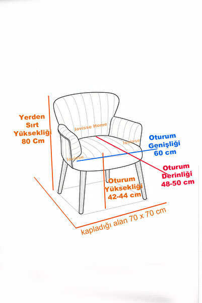 LOVİSSE HOME 2 adet Diva Berjer Tekli Koltuk – Ofis / Salon / Balkon – Bekleme koltuğu, Cafe , Çay seti