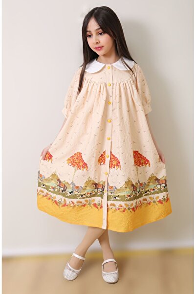 Generic Girls' dress in scenic colors