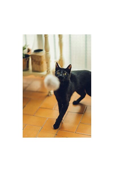 Gloria Cat wand Gaudí Wood Pompom (6 cm)