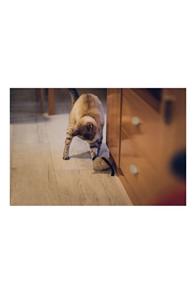 Gloria Cat toy Calatrava Mouse