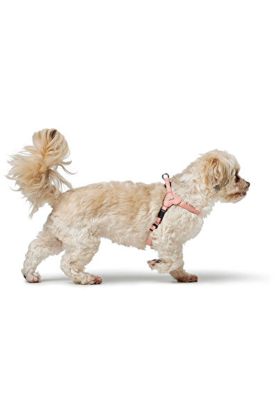 Hunter Ham pentru câini SOHO MINI roz XS/S