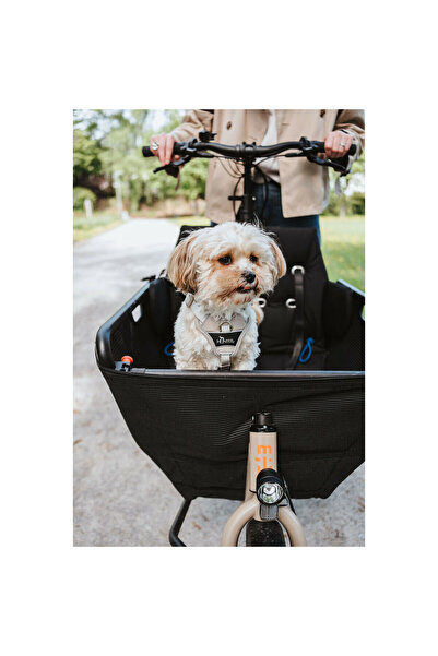 Hunter Dog Harness DIVO UP Beige XS