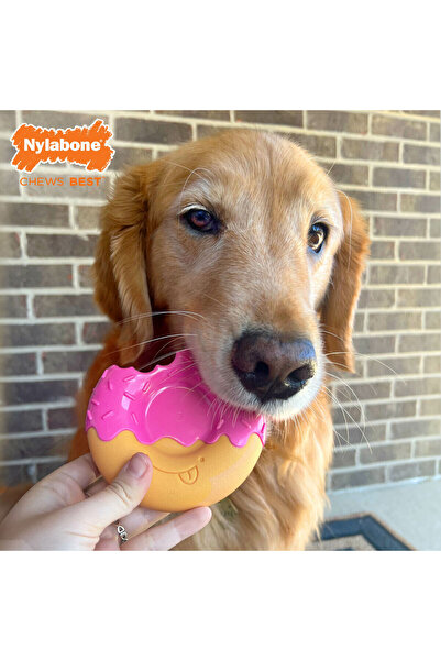 Nylabone Jucărie pentru câini Pink Bacon L