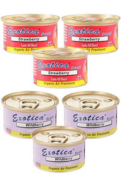 Exotica عبوة معطر جو عضوي اقتصادية، 6 قطع، برائحة الفراولة - 3 قطع، ورائحة التوت البري - 3 قطع