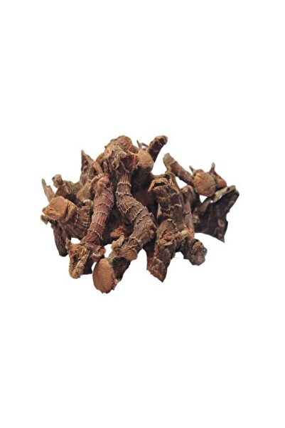 DOĞA BAHARAT ÜRÜNLERİ HAVLICAN KÖK 50GR