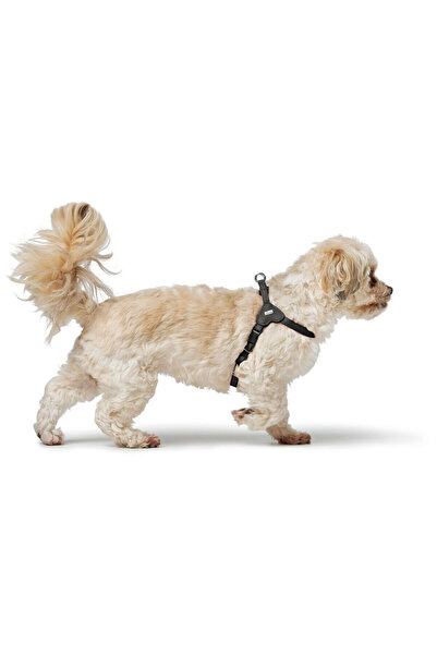 Hunter Dog Harness SOHO MINI Black XS/S
