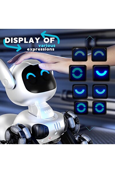 4DRC Robot Dog Toy, Remote Control Stunt Robot for Kids Ages 8-12