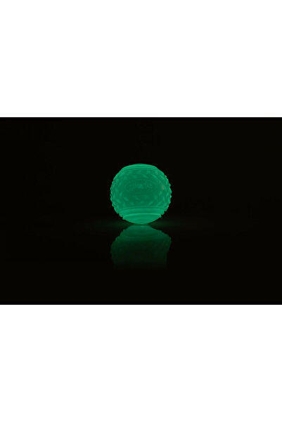 Gloria Minge pentru animale de companie PLAY AND RUN galbenă TPR 6,35 cm