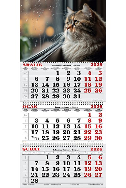 GENC DIJITAL BASKI 2026 Yılı Gemici Takvimi- Yağmurlu Hava ve Pencere Kenarındaki Kedi