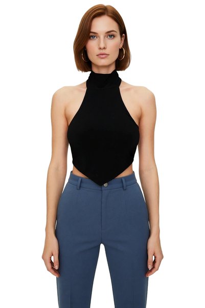 PayBuy Stand Collar Crop Blouse Knitted Fabric Back Detail Summer Professional Look Stylish