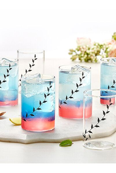 Borosil 6-Piece Vision Glass Black Krip Medium, 295ml