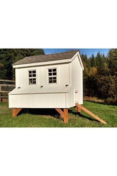 Woodzanya 2×2=4m² 40 Tavukluk Ahşap Tavuk Kümesi