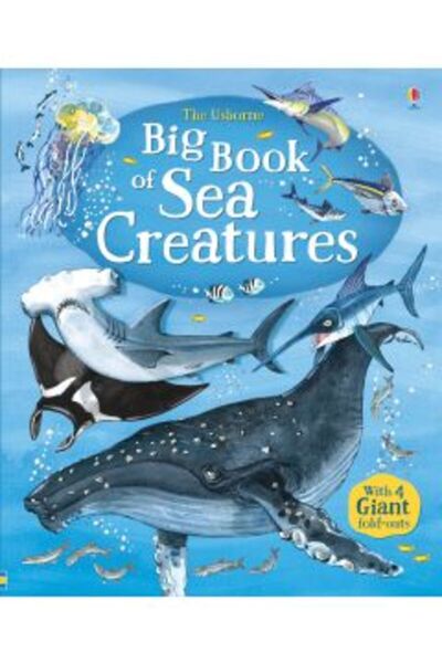 Usborne Big Book of Sea Creatures
