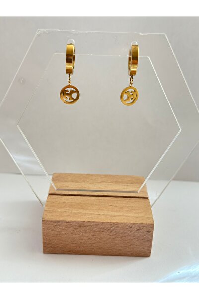 mibrillo Steel symbol alya earrings