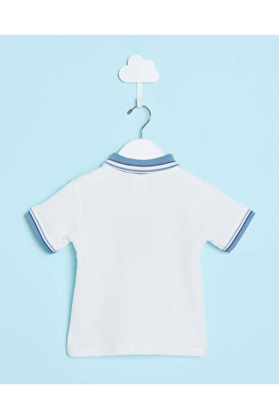 REDTAG Infant Boys White Basic Polo Shirt
