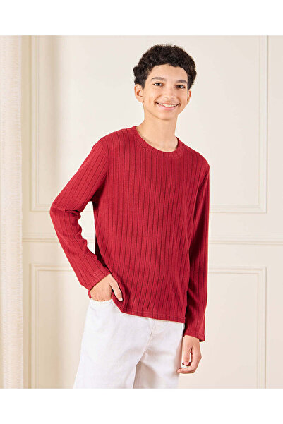 REDTAG Senior Boys Burgundy Striped T-Shirt