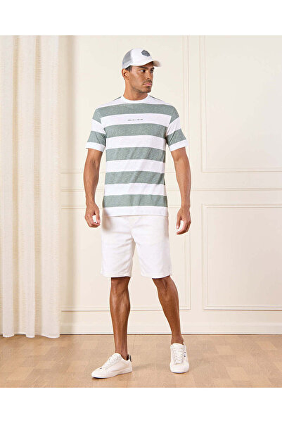 REDTAG Men Grey Striped T-Shirt