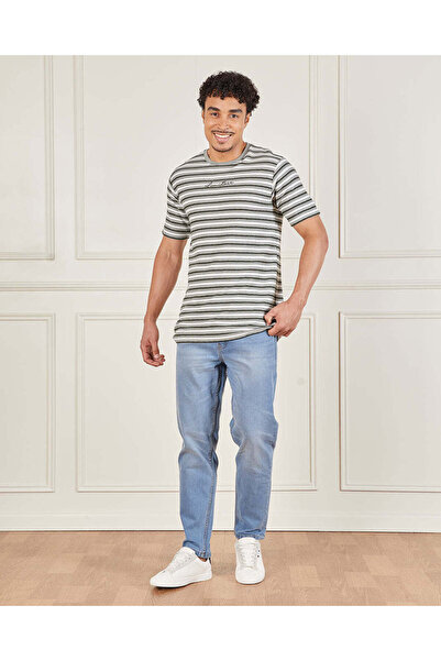 REDTAG Men Grey Striped T-Shirt