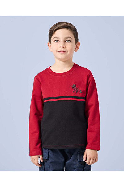 REDTAG Boys Burgundy Cut And Sew T-Shirt