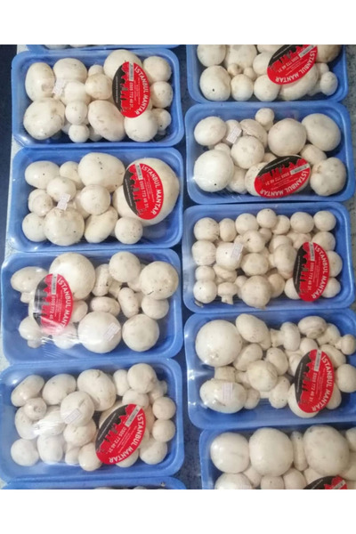 Rs Mantar İstiridye Mantarı 1 Kg