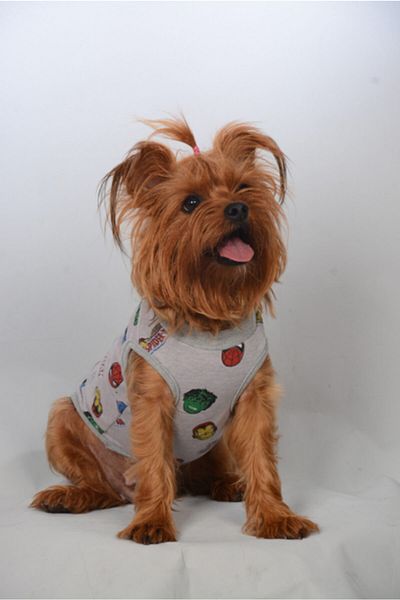 Monopetz Organic Fabric Dog and Cat Outfit - Marvel