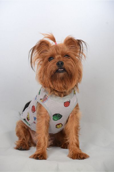 Monopetz Organic Fabric Dog and Cat Outfit - Marvel