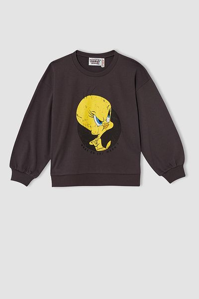 DeFacto Girl's Looney Tunes Crew Neck Soft Fuzzy Sweatshirt