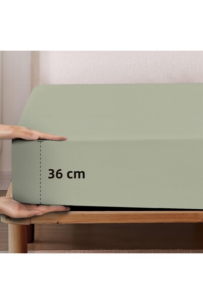 Monolisse 100% Cotton Combed Elastic Sheet