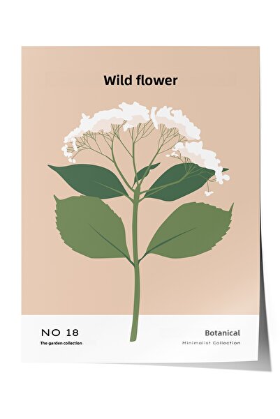 Zestia Poster fără ramă, Fleur Sauvage - Floare albă, Poster decorativ pentru...