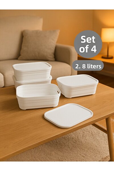 Nesto Home Set of 4 Multi-Purpose Colored Box with Lid Office Organizer 4X2.8 Liters