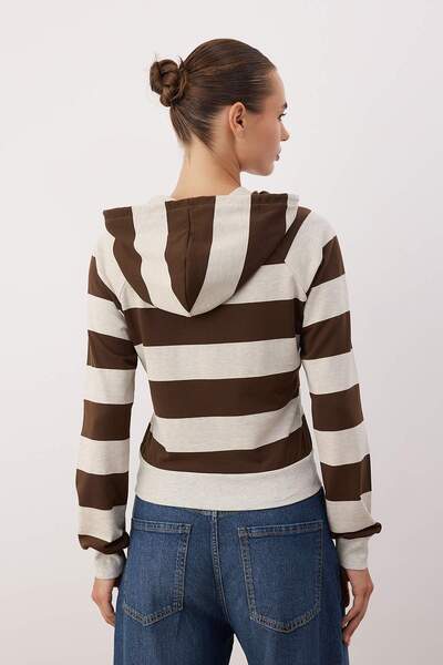 Trendyol Collection Multi-Colored Striped Fitted/Fitted Hooded Knitted Sweatshirt Twoaw26Sw00225