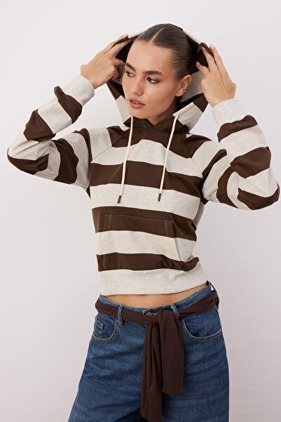 Trendyol Collection Multi-Colored Striped Fitted/Fitted Hooded Knitted Sweatshirt Twoaw26Sw00225