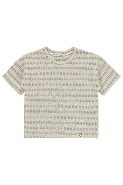 Civil Boys Self Sa deznom majica za decu 2-5 godina - siva 5-6 godina