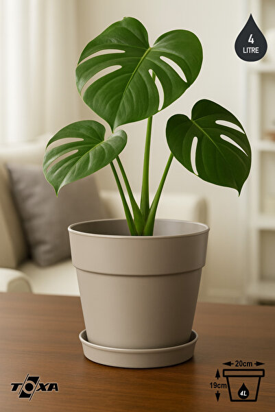 ToXA 1 Adet 4 Litre Mono Saksı Tabaklı Drenaj Delikli Plastik Çiçek Saksısı