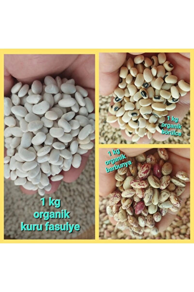 irfan bakliyat Kurufasulye 1 Kg, Börülce 1 Kg, Barbunya 1 Kg ( Köy Mahsulu )