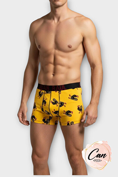 CANMODA Rooster Patterned Boxers