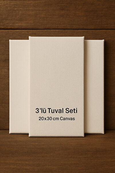 O&S Oyun ve Sanat Eğlen-Üret 3 Adet 30x20 Cm Tuval (TUAL SETİ), Öğrenci Resim...