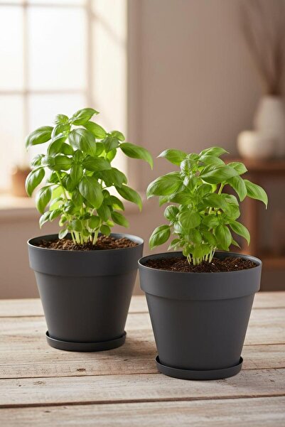 Bliss 2 Adet 3 Lt Tabaklı Izgaralı Dekoratif Plastik Yalı Saksı Seti