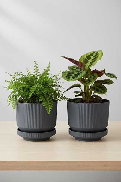 Bliss 2 Adet 6 Litre Dekoratif Lüks Saksı Iç Dış Mekan Tabaklı Plastik Çiçek Saksısı Seti 22,5 * 18,5 cm