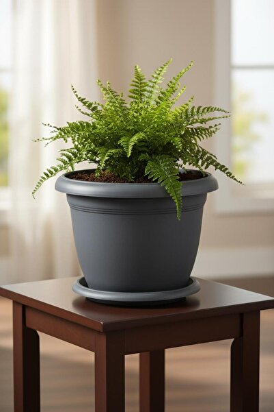 Bliss Antrasit Dekoratif Tabaklı Orta Boy Villa Saksı 8,8 Lt