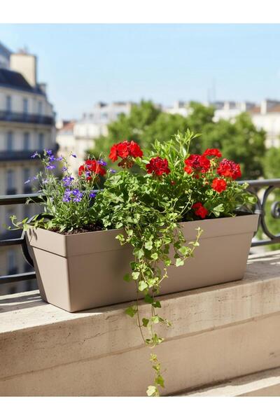 Bliss Serinova Yalı Saksı 10,8 lt 51 cm Plastik Bahçe Balkon Veranda Çit Küpeşte Çiçek Saksısı